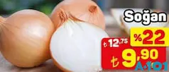 SOĞAN KG fiyat ve kampanya bilgisi